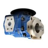 IDRAULICA 22 GPM due STADIO Hi-Low POMPA C/W Bell ALLOGGIAMENTO DEL MOTORE KIT