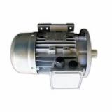 SINGLE HYDRAULIC PUMP FITS MASSEY FERGUSON 134 154 164 174 184 194 TRACTORS.